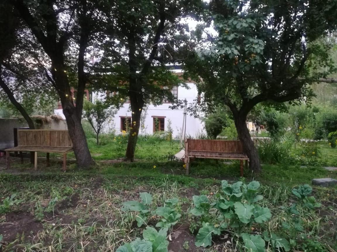 Sernang Homestay Hundar Exteriör bild