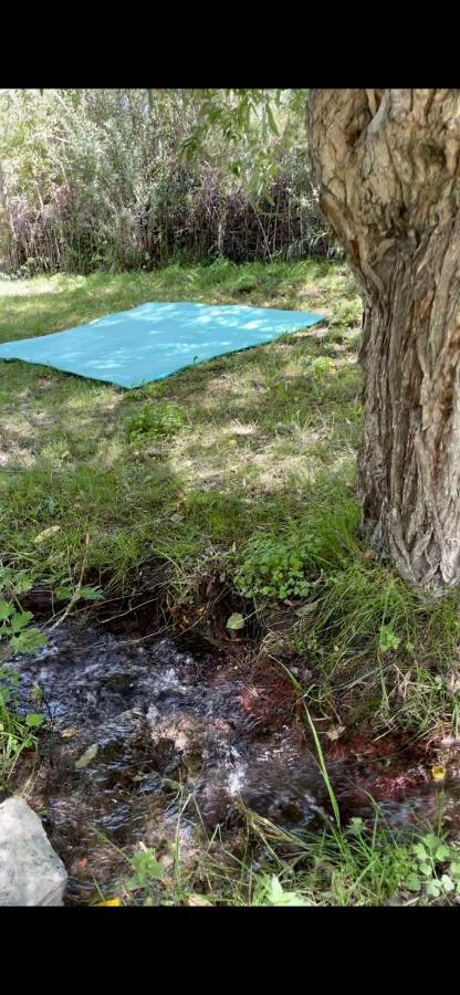 Sernang Homestay Hundar Exteriör bild