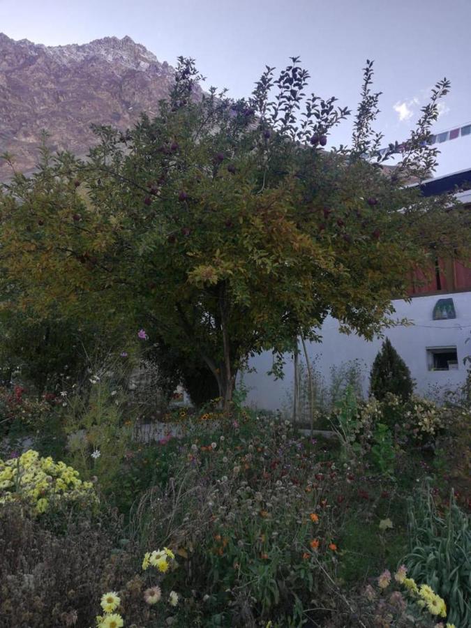 Sernang Homestay Hundar Exteriör bild